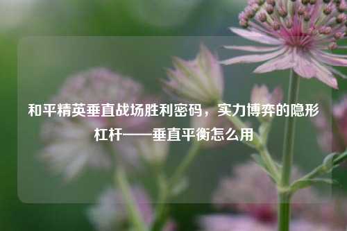和平精英垂直战场胜利密码，实力博弈的隐形杠杆——垂直平衡怎么用