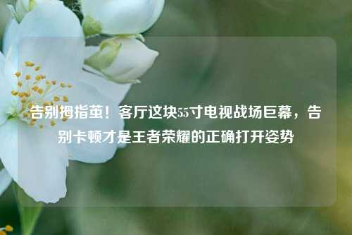 告别拇指茧！客厅这块55寸电视战场巨幕，告别卡顿才是王者荣耀的正确打开姿势