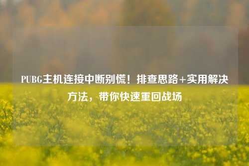 PUBG主机连接中断别慌!排查思路+实用解决方法,带你快速重回战场
