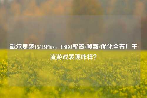 戴尔灵越15/15Plus,CSGO配置/帧数/优化全有!主流游戏表现咋样?