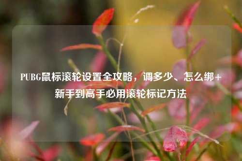 PUBG鼠标滚轮设置全攻略,调多少、怎么绑+新手到高手必用滚轮标记方法