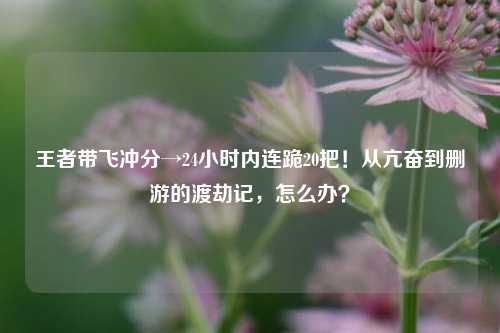 王者带飞冲分→24小时内连跪20把!从亢奋到删游的渡劫记,怎么办?