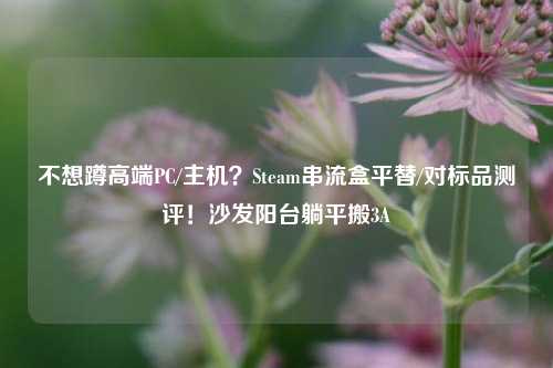 不想蹲高端PC/主机?Steam串流盒平替/对标品测评!沙发阳台躺平搬3A