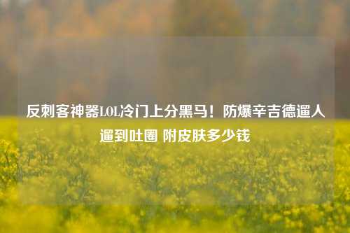 反刺客神器LOL冷门上分黑马！防爆辛吉德遛人遛到吐圈 附皮肤多少钱