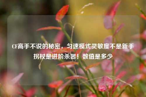 CF高手不说的秘密，匀速模式灵敏度不是新手拐杖是进阶杀器！数值是多少
