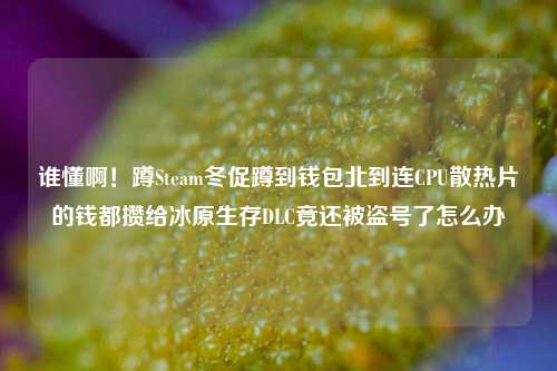 谁懂啊!蹲Steam冬促蹲到钱包北到连CPU散热片的钱都攒给冰原生存DLC竟还被盗号了怎么办