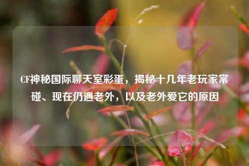CF神秘国际聊天室彩蛋，揭秘十几年老玩家常碰、现在仍遇老外，以及老外爱它的原因