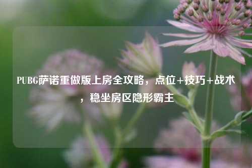 PUBG萨诺重做版上房全攻略,点位+技巧+战术,稳坐房区隐形霸主