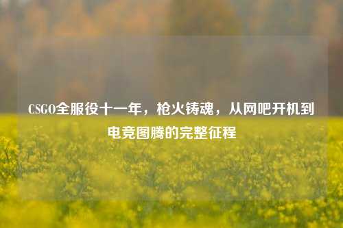 CSGO全服役十一年，枪火铸魂，从网吧开机到电竞图腾的完整征程