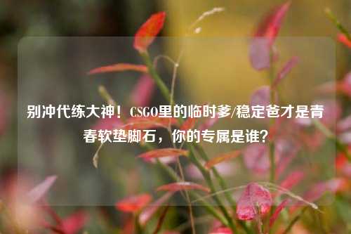 别冲代练大神！CSGO里的临时爹/稳定爸才是青春软垫脚石，你的专属是谁？