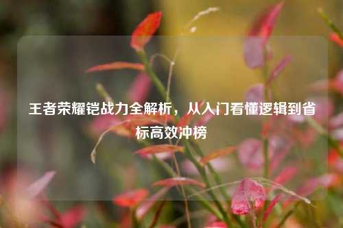 王者荣耀铠战力全解析，从入门看懂逻辑到省标高效冲榜