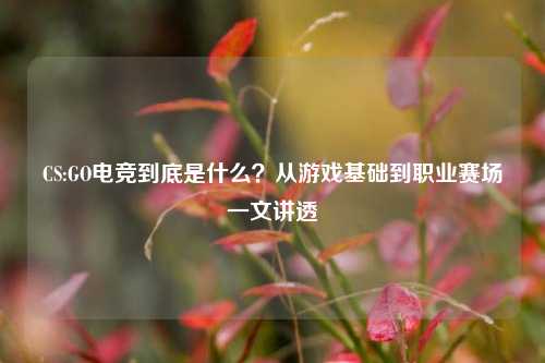 CS:GO电竞到底是什么?从游戏基础到职业赛场一文讲透