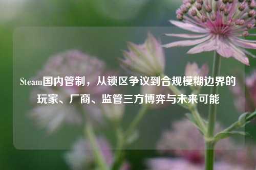 Steam国内管制，从锁区争议到合规模糊边界的玩家、厂商、监管三方博弈与未来可能