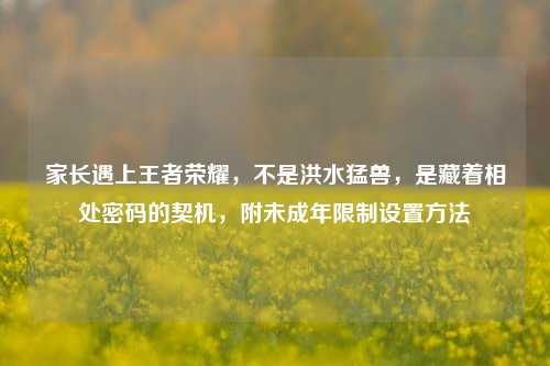家长遇上王者荣耀，不是洪水猛兽，是藏着相处密码的契机，附未成年限制设置方法