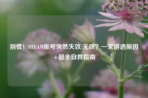 别慌！STEAM账号突然失效/无效？一文讲透原因+超全自救指南