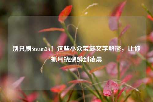 别只刷Steam3A！这些小众宝藏文字解密，让你抓耳挠腮蹲到凌晨