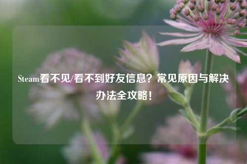 Steam看不见/看不到好友信息？常见原因与解决办法全攻略！