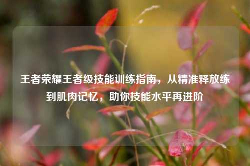 王者荣耀王者级技能训练指南，从精准释放练到肌肉记忆，助你技能水平再进阶