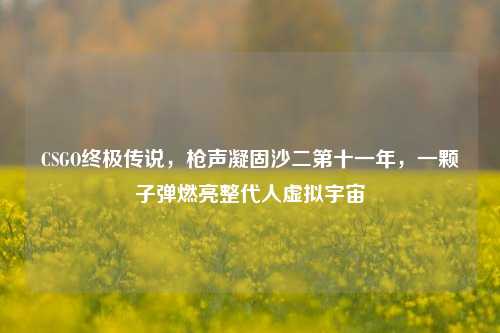 CSGO终极传说，枪声凝固沙二第十一年，一颗子弹燃亮整代人虚拟宇宙