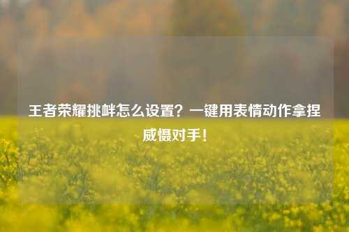王者荣耀挑衅怎么设置？一键用表情动作拿捏威慑对手！