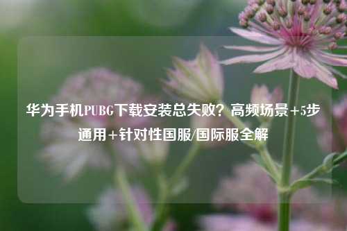 华为手机PUBG下载安装总失败？高频场景+5步通用+针对性国服/国际服全解