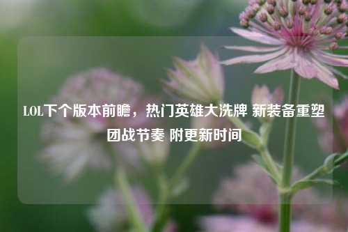 LOL下个版本前瞻，热门英雄大洗牌 新装备重塑团战节奏 附更新时间