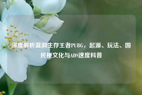 深度解析蓝洞生存王者PUBG，起源、玩法、国民梗文化与ADS速度科普