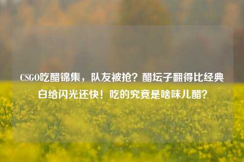 CSGO吃醋锦集，队友被抢？醋坛子翻得比经典白给闪光还快！吃的究竟是啥味儿醋？