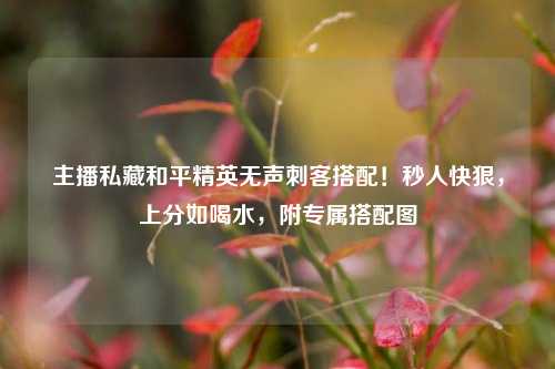 主播私藏和平精英无声刺客搭配！秒人快狠，上分如喝水，附专属搭配图