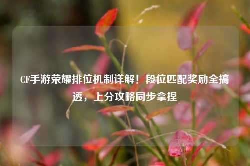 CF手游荣耀排位机制详解！段位匹配奖励全搞透，上分攻略同步拿捏