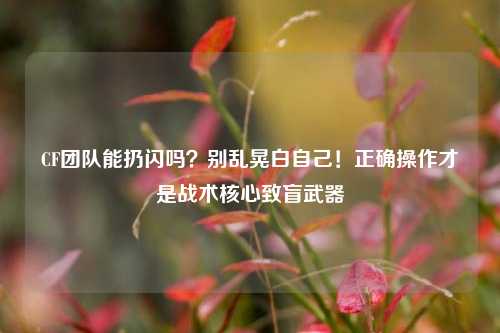 CF团队能扔闪吗？别乱晃白自己！正确操作才是战术核心致盲武器