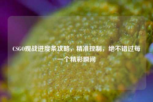 CSGO观战进度条攻略,精准控制,绝不错过每一个精彩瞬间