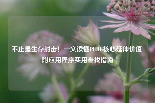 不止是生存射击！一文读懂PUBG核心延伸价值 附应用程序实用查找指南