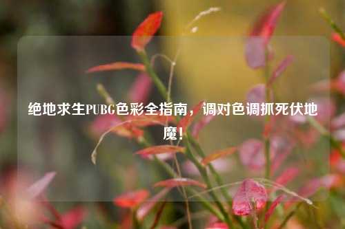 绝地求生PUBG色彩全指南，调对色调抓死伏地魔！