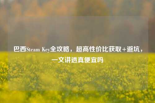 巴西Steam Key全攻略，超高性价比获取+避坑，一文讲透真便宜吗