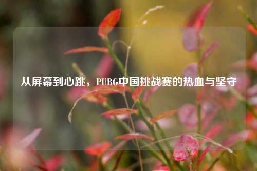 从屏幕到心跳，PUBG中国挑战赛的热血与坚守