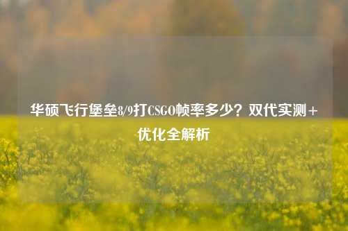 华硕飞行堡垒8/9打CSGO帧率多少？双代实测+优化全解析