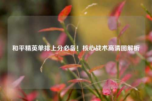 和平精英单排上分必备！核心战术高清图解析