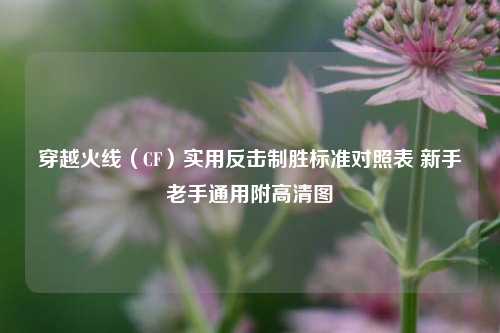 穿越火线（CF）实用反击制胜标准对照表 新手老手通用附高清图
