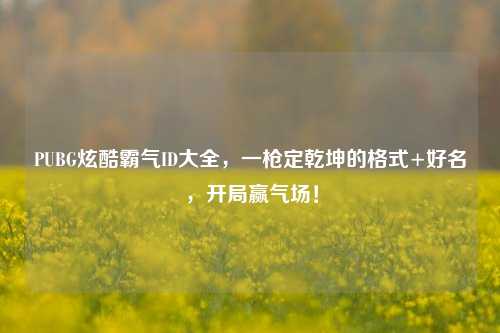 PUBG炫酷霸气ID大全，一枪定乾坤的格式+好名，开局赢气场！