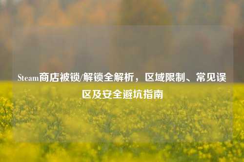 Steam商店被锁/解锁全解析，区域限制、常见误区及安全避坑指南