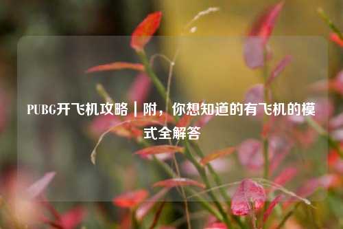 PUBG开飞机攻略｜附，你想知道的有飞机的模式全解答
