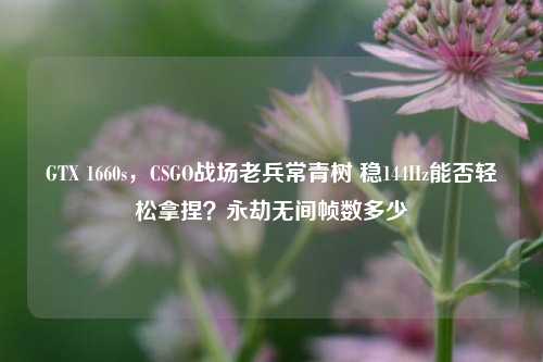 GTX 1660s,CSGO战场老兵常青树 稳144Hz能否轻松拿捏?永劫无间帧数多少