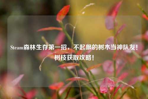 Steam森林生存第一招，不起眼的树木当神队友！树枝获取攻略！