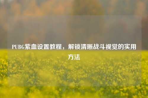 PUBG紫血设置教程，解锁清晰战斗视觉的实用方法