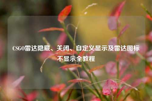 CSGO雷达隐藏、关闭、自定义显示及雷达图标不显示全教程