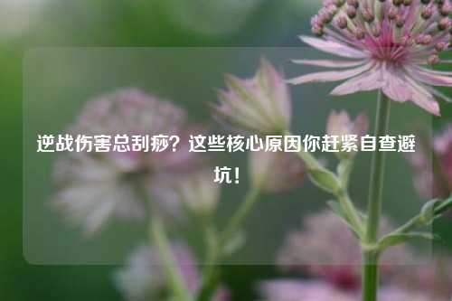 逆战伤害总刮痧？这些核心原因你赶紧自查避坑！