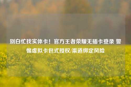 别白忙找实体卡！官方王者荣耀无插卡登录 警惕虚拟卡包式授权/渠道绑定风险
