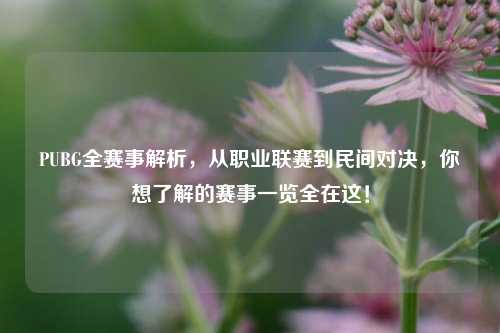 PUBG全赛事解析，从职业联赛到民间对决，你想了解的赛事一览全在这！