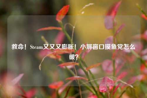 救命!Steam又又又膨胀!小屏窗口摸鱼党怎么破?